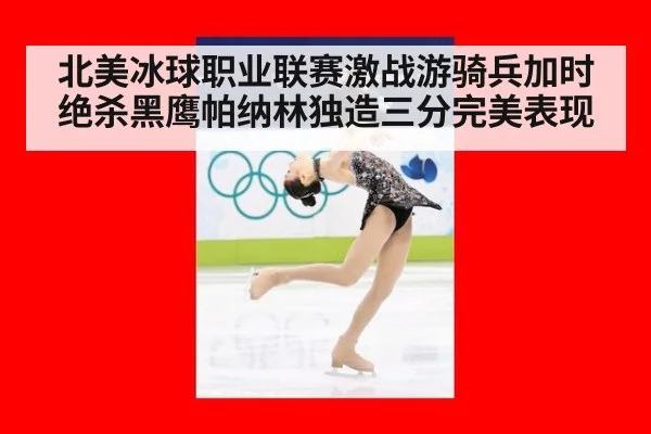 北美冰球职业联赛激战游骑兵加时绝杀黑鹰帕纳林独造三分完美表现
